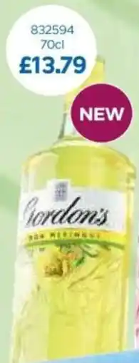 Bestway Gordon's offer
