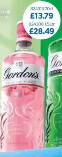 Bestway Gordon's offer