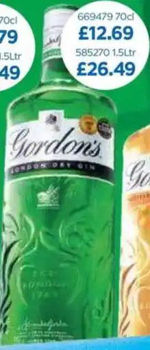 Bestway Gordon's offer