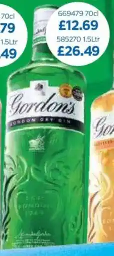 Bestway Gordon's offer