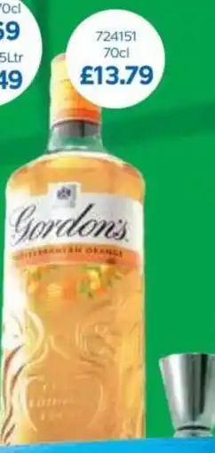 Bestway Gordon's offer