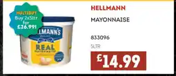 Bestway HELLMANN MAYONNAISE offer