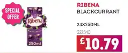 Bestway Ribena Blackcurrant offer