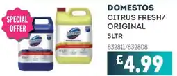 Bestway Domestos citrus fresh/ original offer