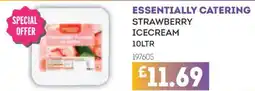 Bestway Essentially catering strawberry icecream offer