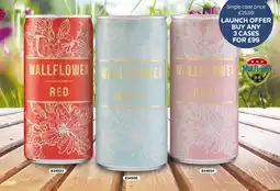 Bestway Wallflower offer