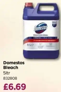 Bestway Domestos Bleach offer