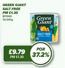Bestway Green giant salt free offer