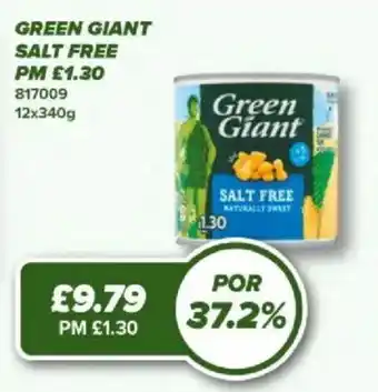 Bestway Green giant salt free offer