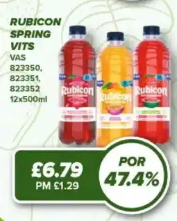 Bestway Rubicon spring vits offer
