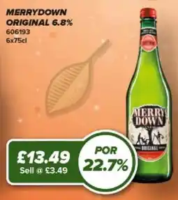 Bestway Merrydown original offer