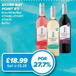Bestway Silver Bay Point offer