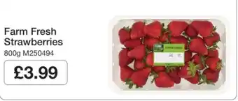 Makro Farm Fresh Strawberries offer