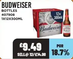 Bestway Budweiser bottles offer