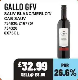 Bestway Gallo gfv offer