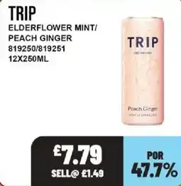 Bestway Trip elderflower mint peach ginger offer