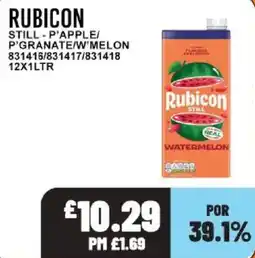 Bestway Rubicon still watermelon offer