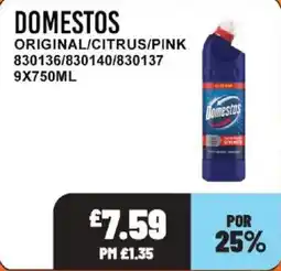 Bestway Domestos original offer