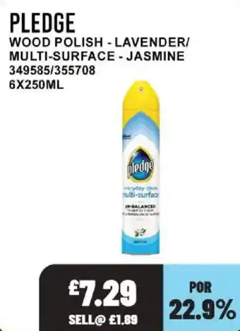 Bestway Pledge wood polish offer