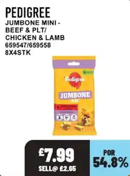 Bestway Pedigree jumbone mini offer
