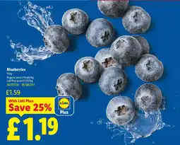 Lidl Blueberries offer