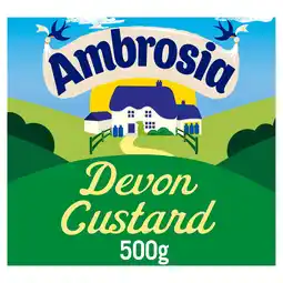 Iceland Ambrosia Devon Custard Dessert Carton 500g offer