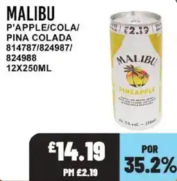 Bestway Malibu pineapple offer