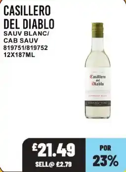 Bestway Casillero del Diablo Sauv Blanc/Cab Sauv offer