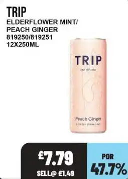 Bestway Trip elderflower mint peach ginger offer