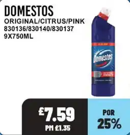 Bestway Domestos original offer