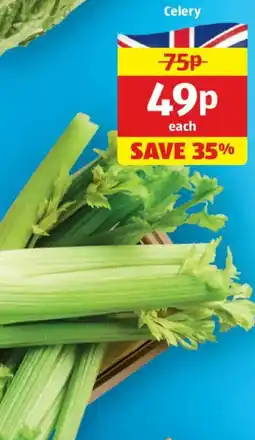 Aldi Celery offer