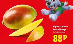 Lidl Loose Mango offer