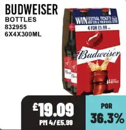 Bestway Budweiser bottles offer