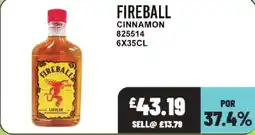 Bestway Fireball Cinnamon offer