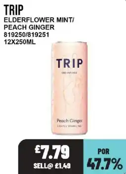 Bestway Trip elderflower mint peach ginger offer
