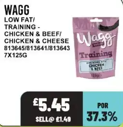 Bestway Wagg training offer
