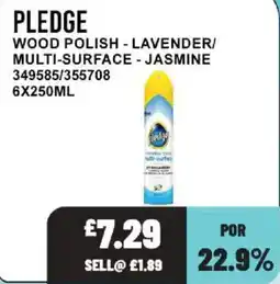 Bestway Pledge Wood Polish/ Multi-Surface offer