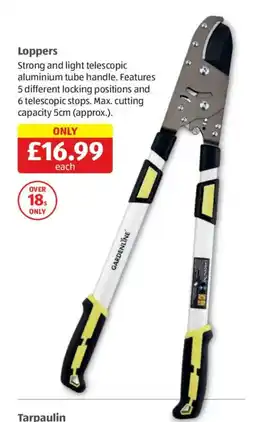 Aldi Gardenline loppers offer
