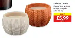 Aldi Fall Icon Candle offer