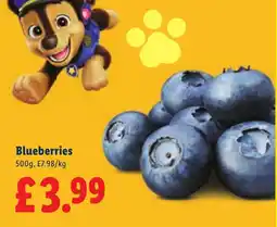 Lidl Blueberries offer