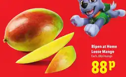 Lidl Loose Mango offer