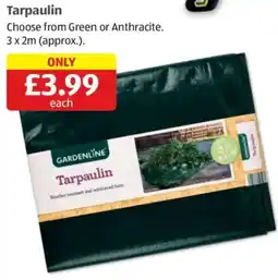 Aldi Tarpaulin offer