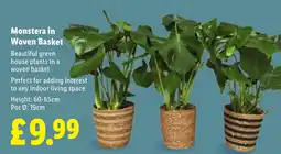 Lidl Monstera in Woven Basket offer