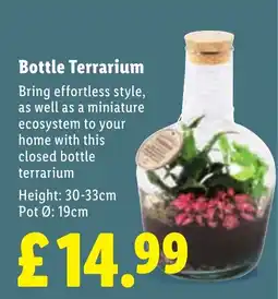 Lidl Bottle Terrarium offer