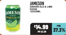 Bestway Jameson ginger ale & lime offer