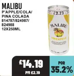 Bestway Malibu pineapple offer
