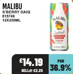 Bestway Malibu s'berry daiq offer