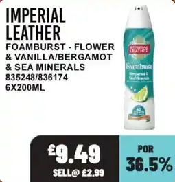 Bestway Imperial leather foamburst offer