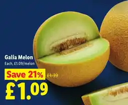 Lidl Galia Melon offer