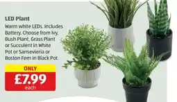 Aldi Led Plant offer